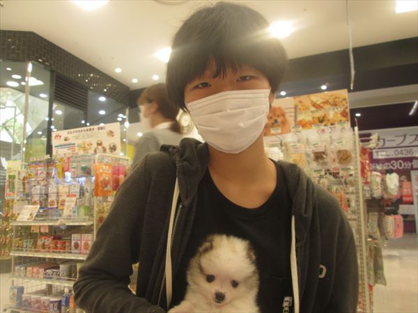 写真
