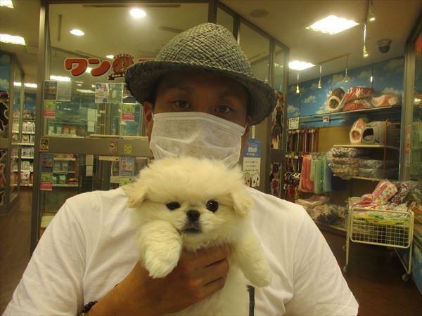 写真