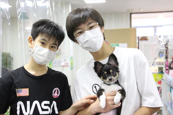 写真