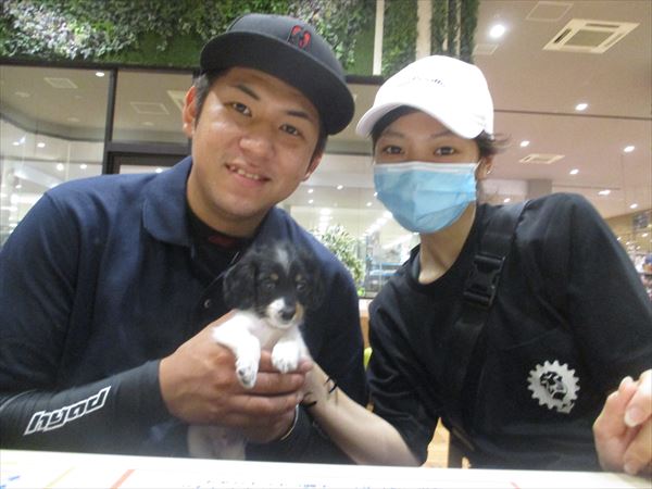 写真