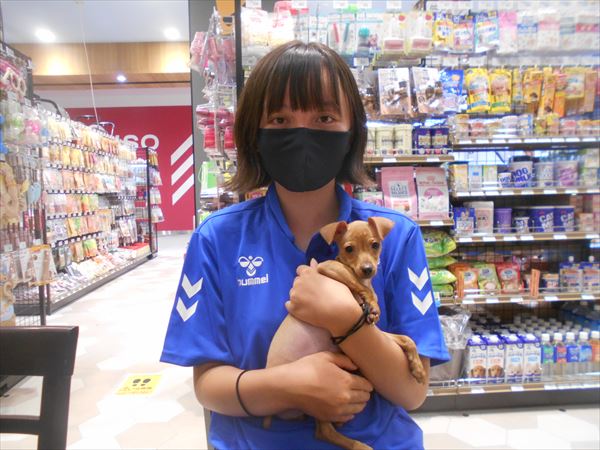 写真