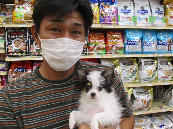 写真