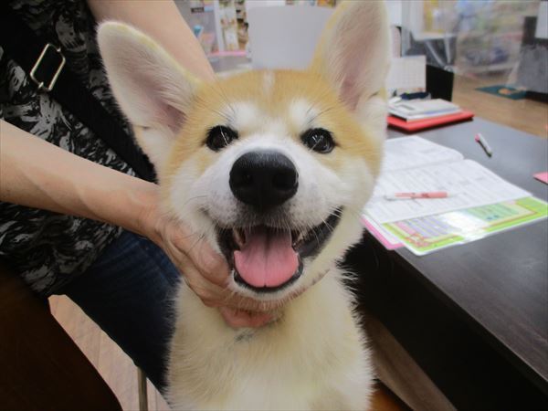 写真
