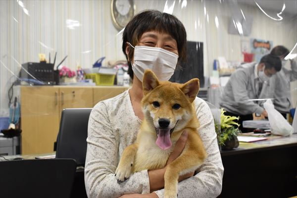 写真