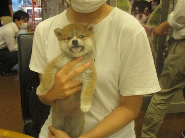 写真