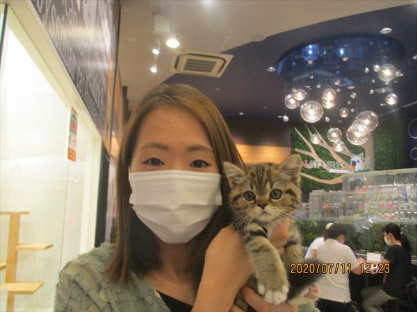 写真