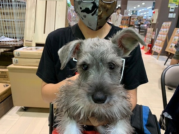 写真