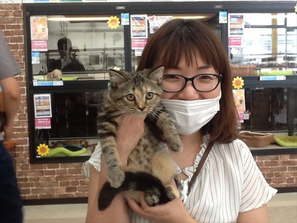 写真