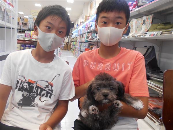 写真