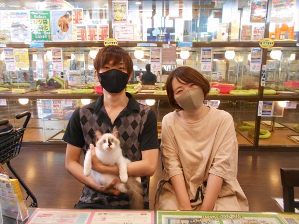 写真