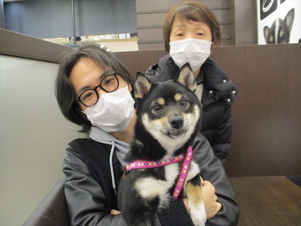 写真
