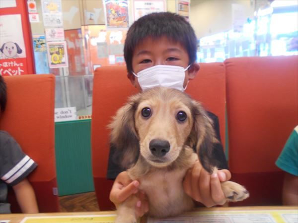 写真