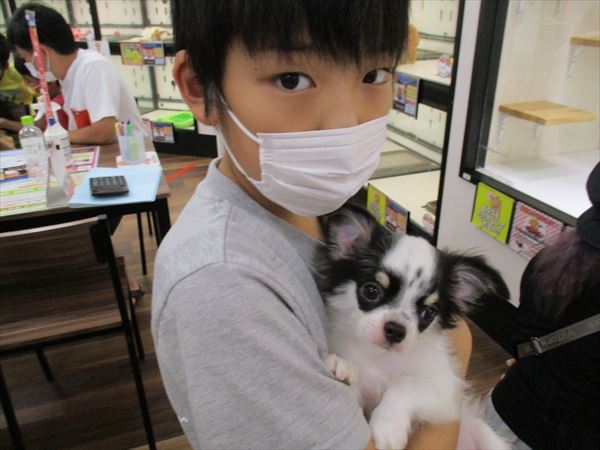 写真