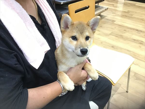 写真