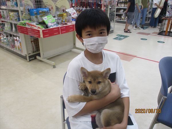 写真