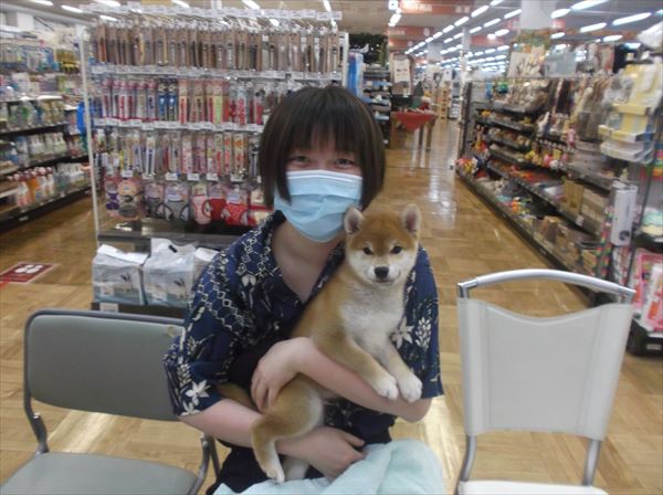 写真