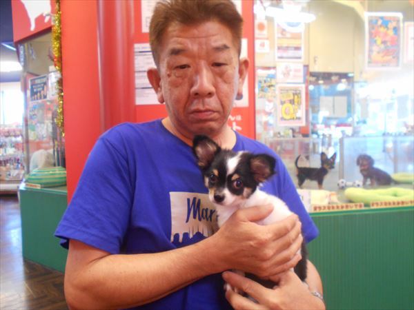 写真
