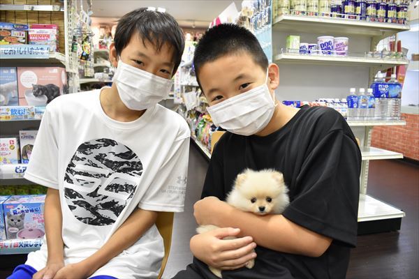 写真