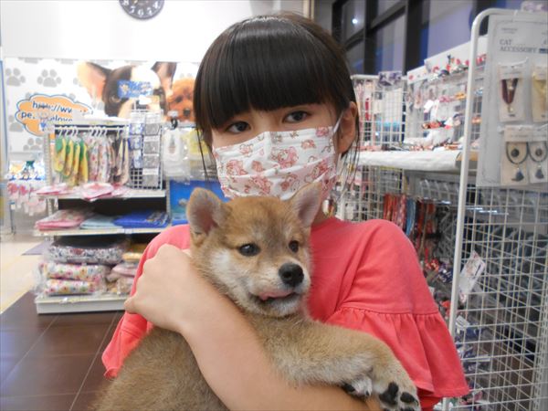 写真