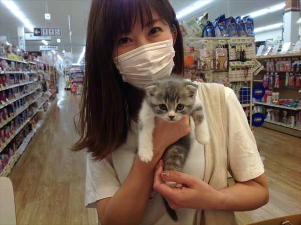 写真