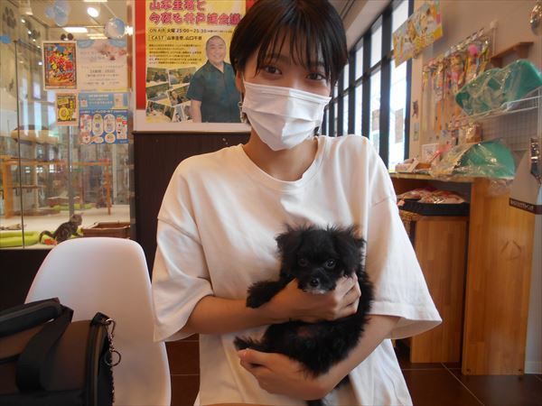 写真
