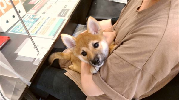 写真