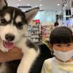 写真