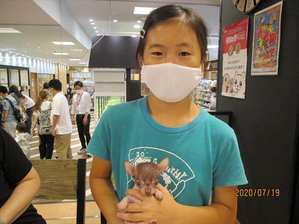 写真