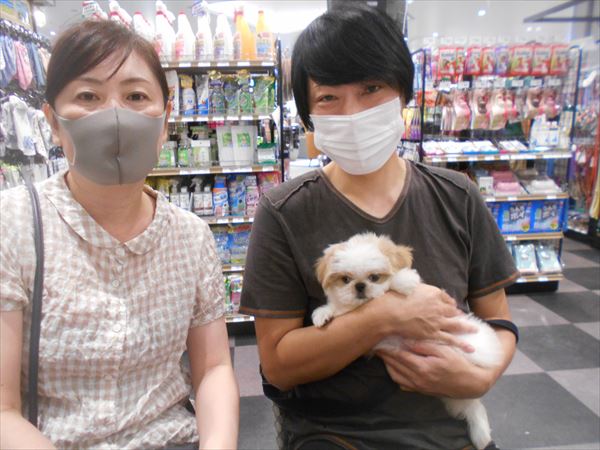 写真