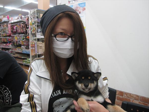 写真