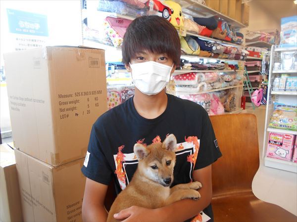 写真