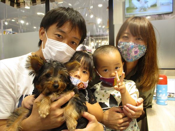 写真