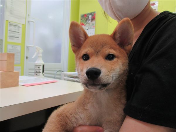 写真