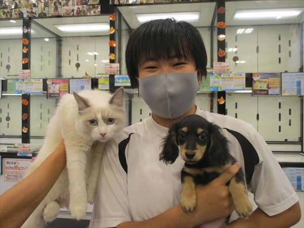 写真