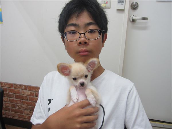 写真