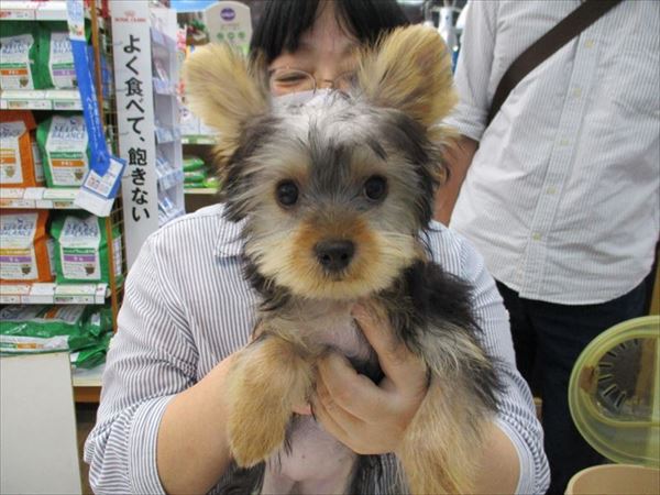 写真