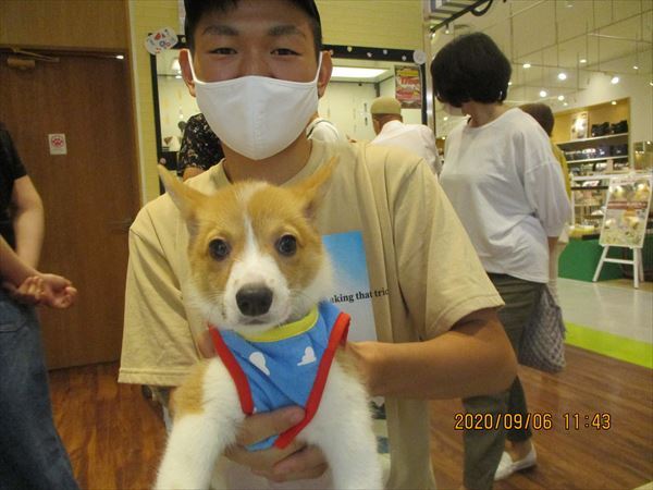 写真
