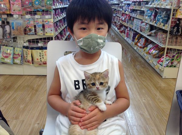 写真