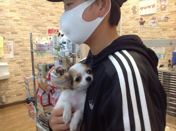 写真