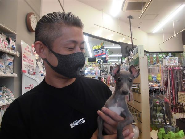 写真