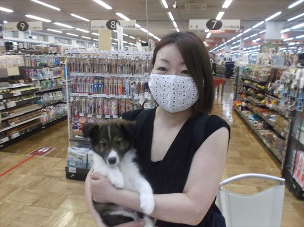 写真