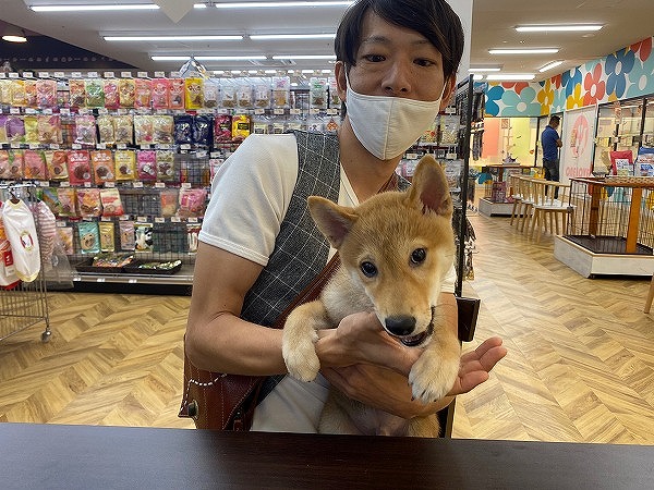 写真