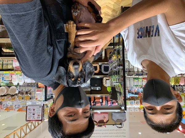 写真
