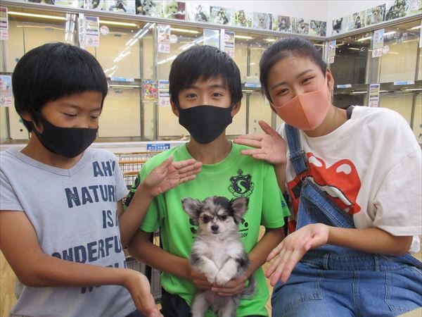 写真