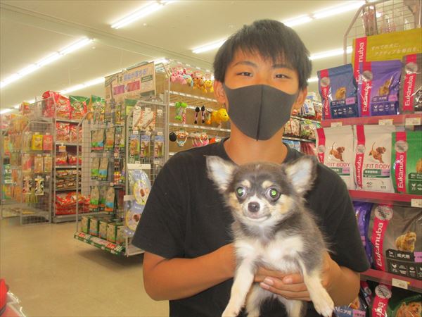 写真
