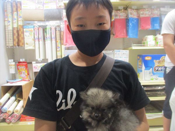 写真