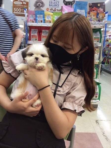 写真