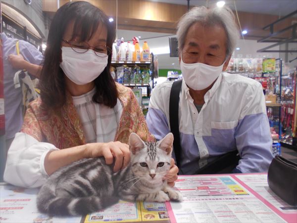 写真
