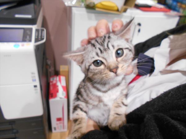写真