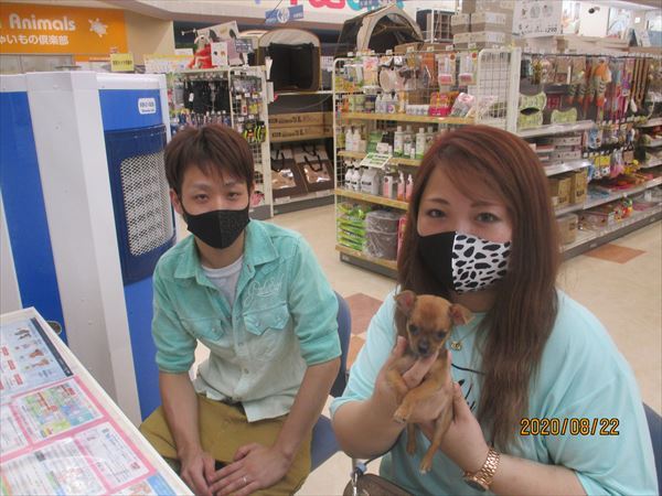 写真